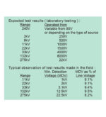 DETECTOR DE ALTO VOLTAJE DE PROXIMIDAD HVP 275 TECPEL - Imagen 2