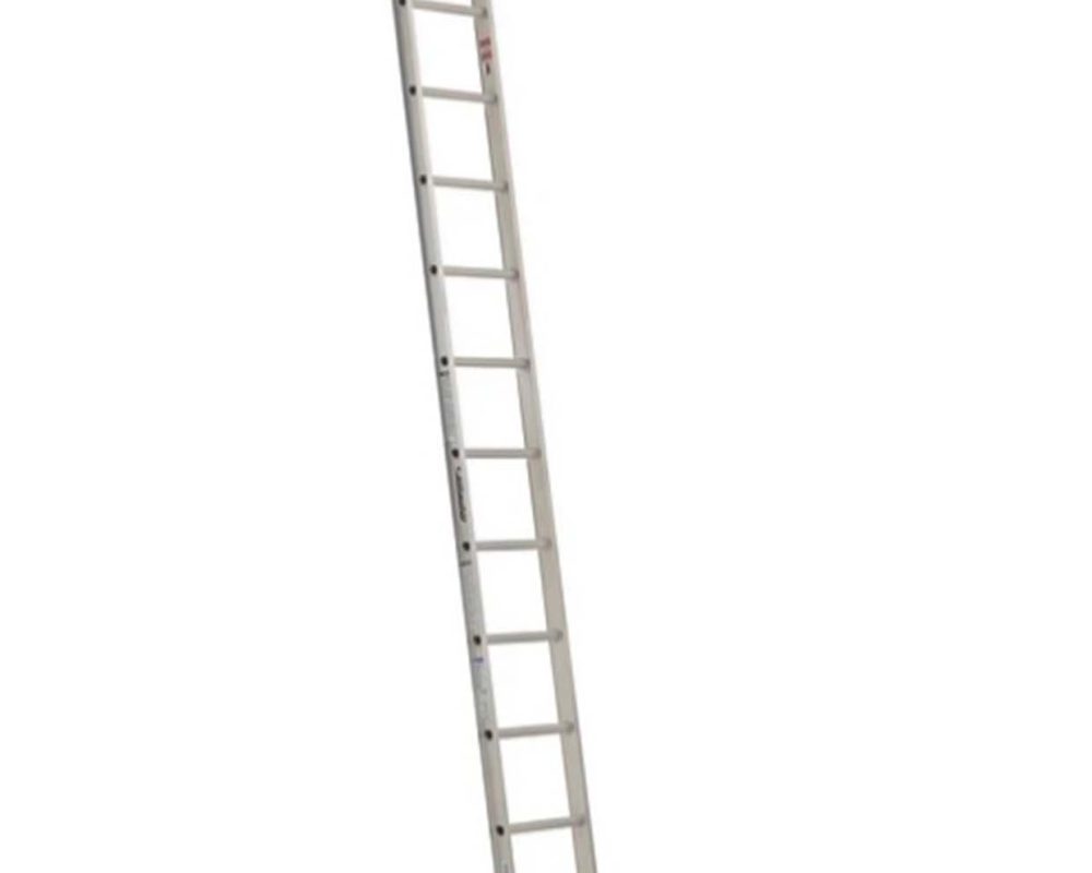 458523.jpg