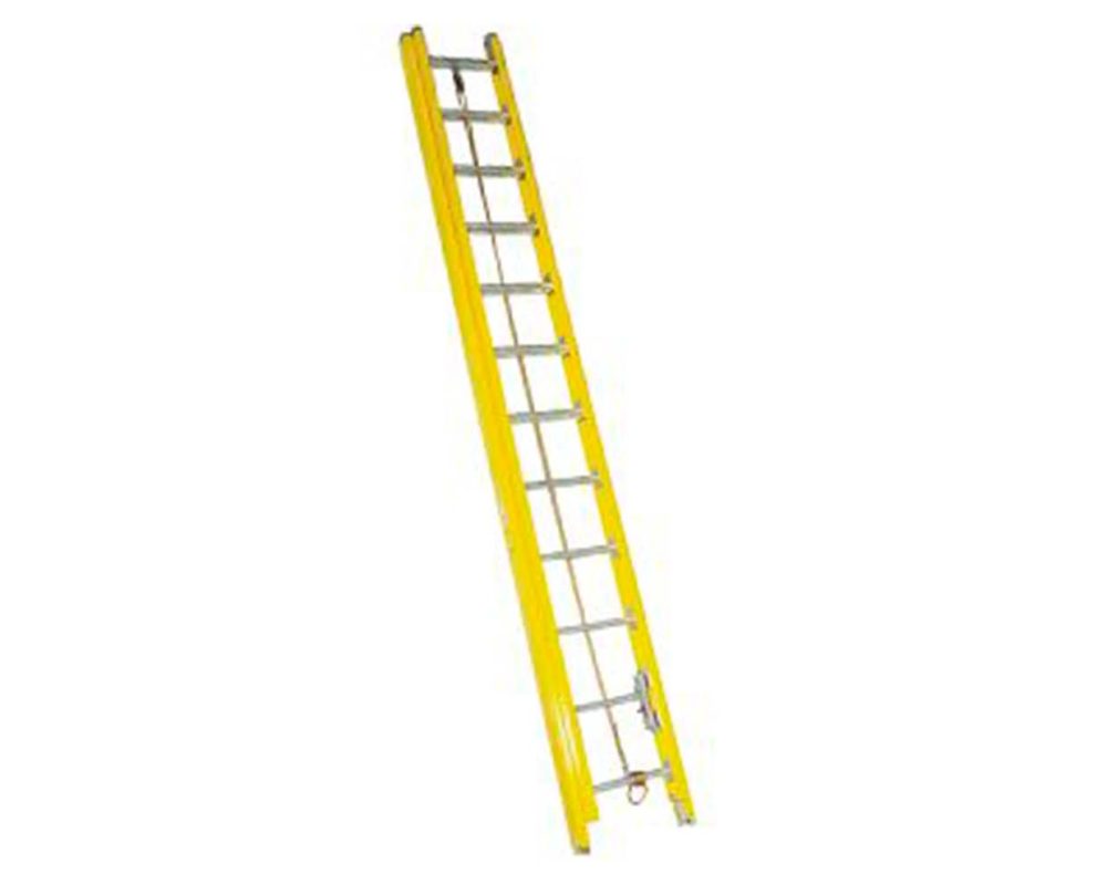 8003-.jpg