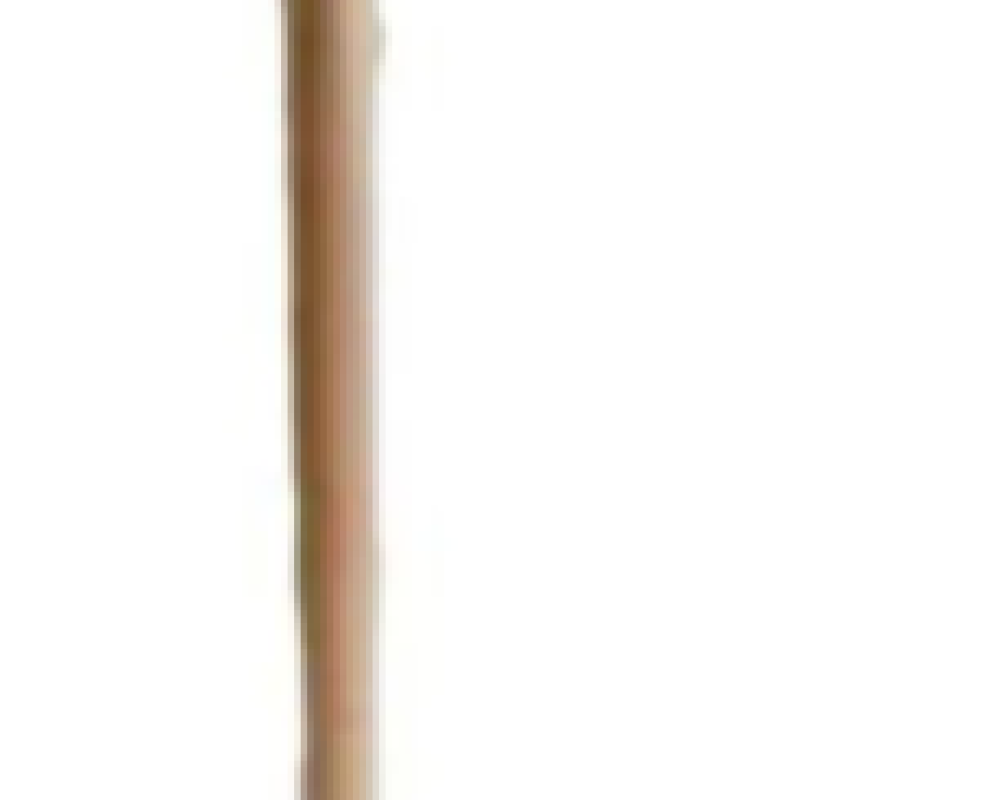 ASADON-FORESTAL.png