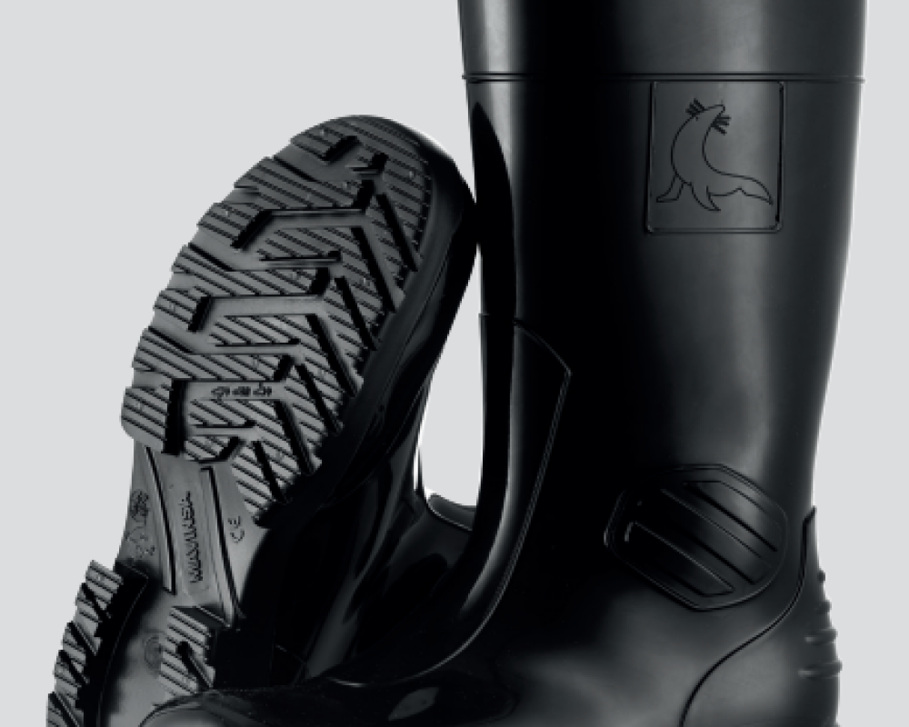 BOTA1.png