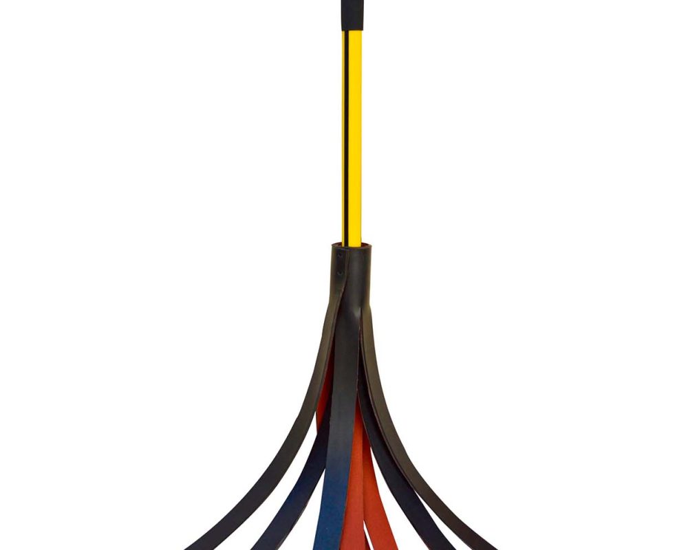 CI100.jpg