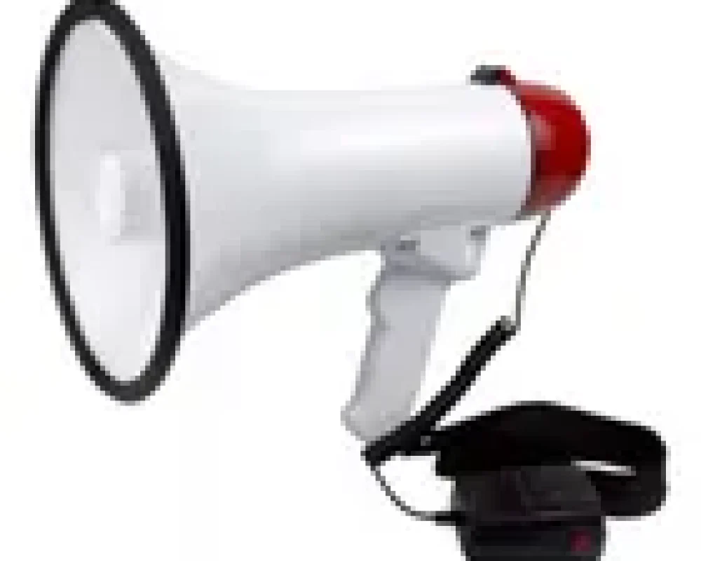 D_Q_NP_2X_641199-MLA80729215224_112024-R.webp