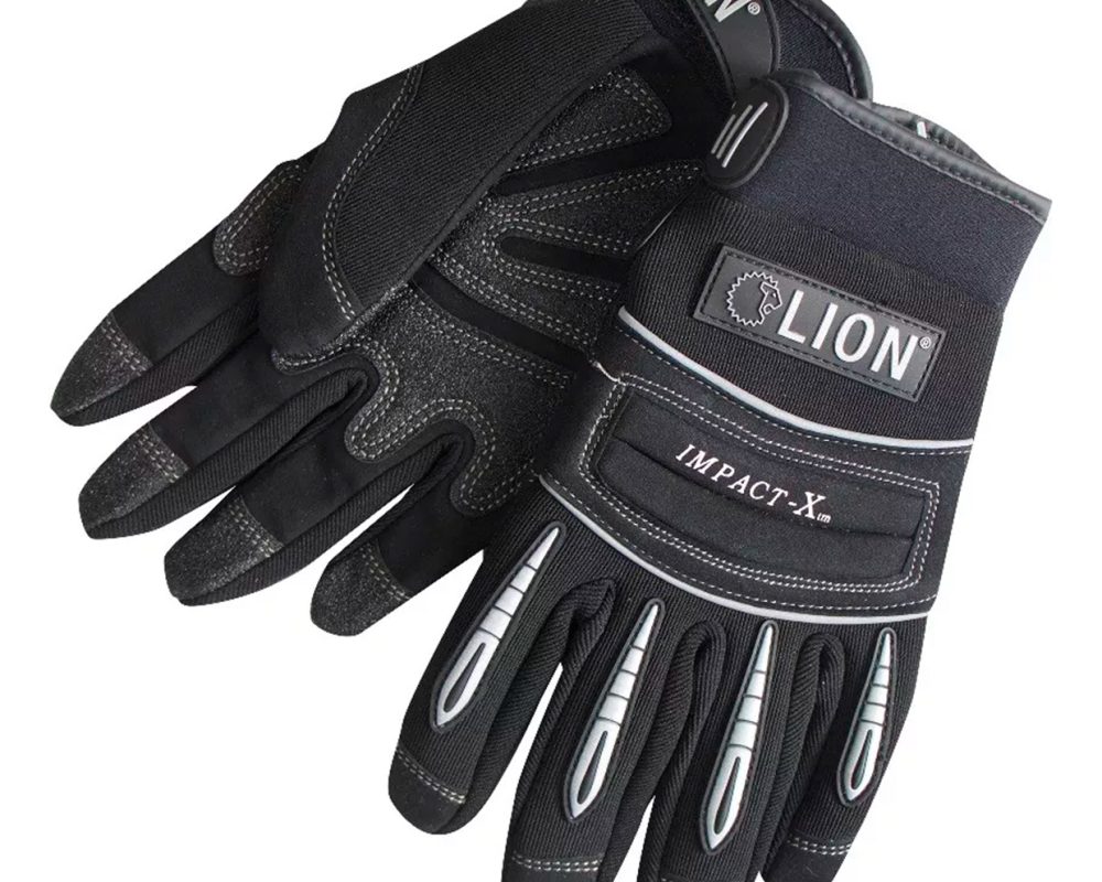 iMPACT-lION-X.jpg